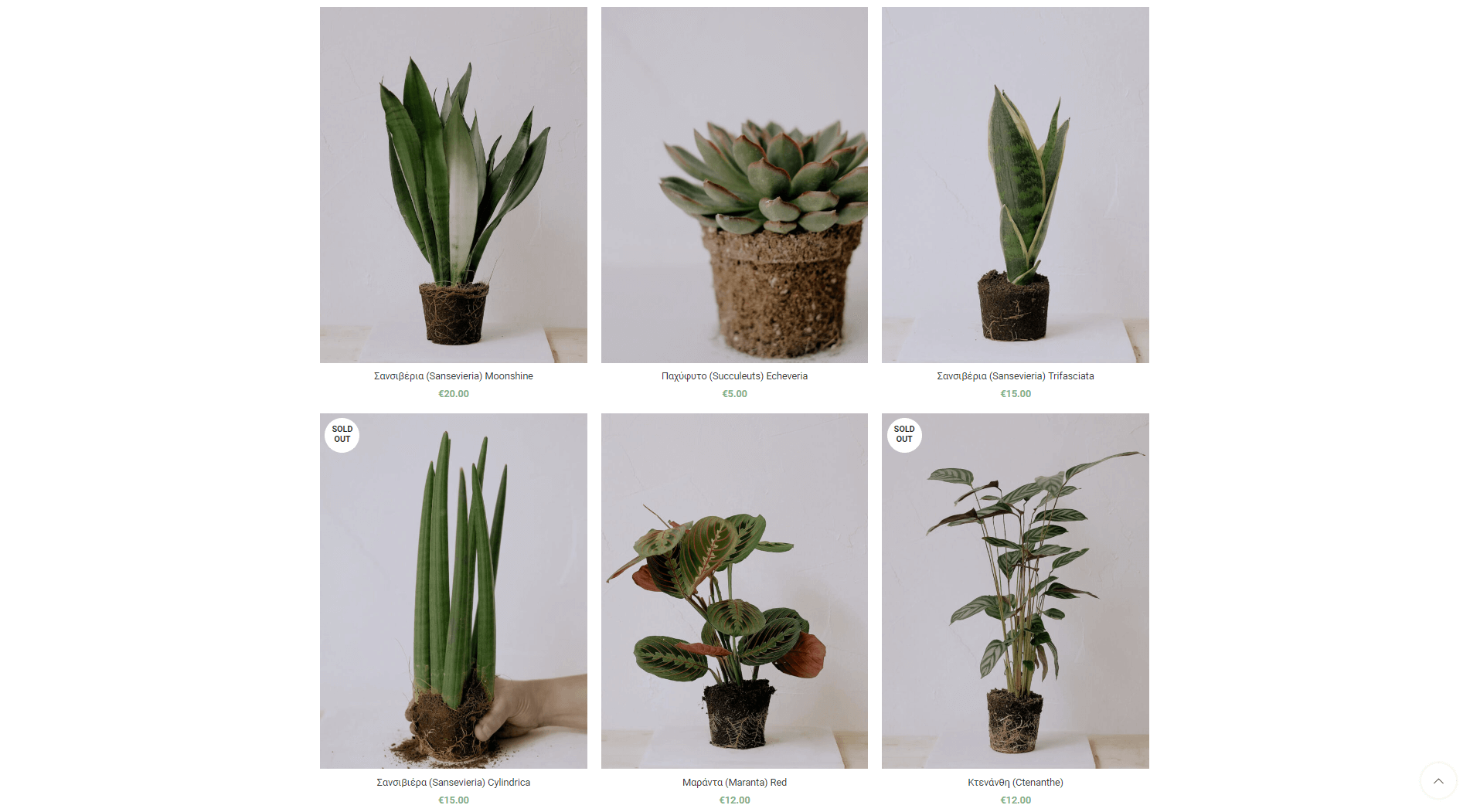 lelaflowers concept eshop louloudia 5 Lela Flowers EGNITE Digital Transformation Agency