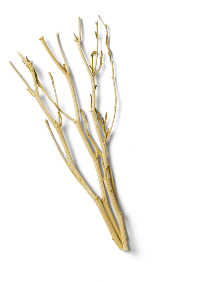 branch ανάπτυξη λογισμικού,custom web app,custom εφαρμογή,Ποια είναι η διαδικασία για ανάπτυξη λογισμικού,λύσεις λογισμικού Branding - Εταιρική Ταυτότητα και Λογότυπα EGNITE Digital Transformation Agency