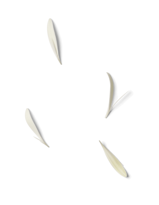 flowers ανάπτυξη λογισμικού,custom web app,custom εφαρμογή,Ποια είναι η διαδικασία για ανάπτυξη λογισμικού,λύσεις λογισμικού Branding - Εταιρική Ταυτότητα και Λογότυπα EGNITE Digital Transformation Agency