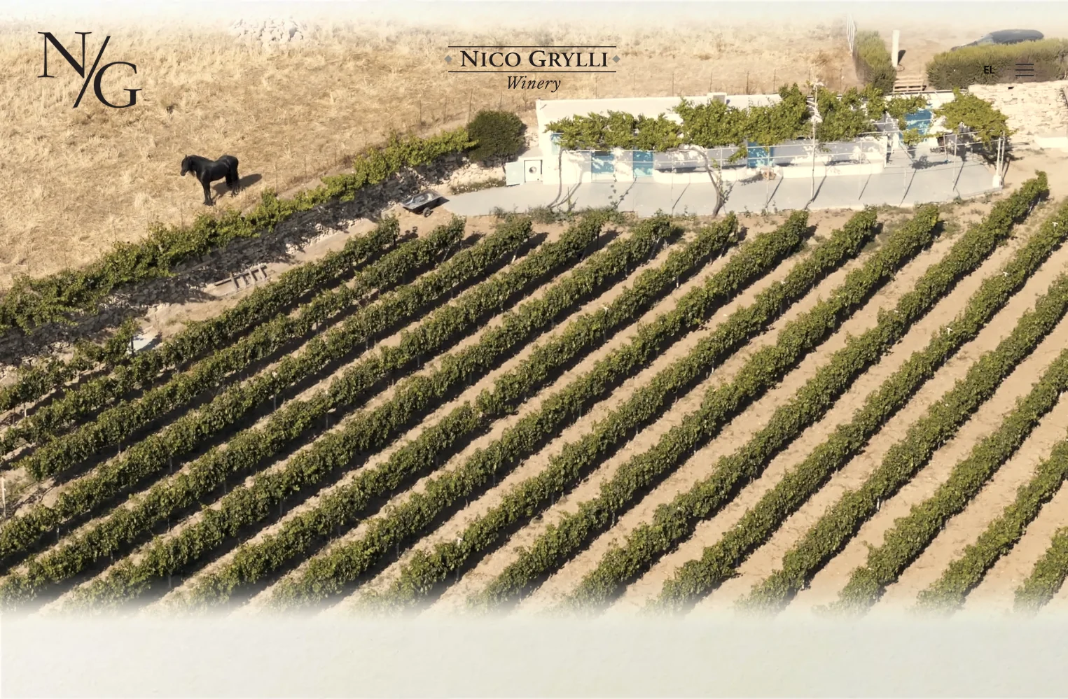 nicogrylliwinery mkt laptop 4 Κατασκευή Ιστοσελίδας Οινοποιείου,σύστημα διαχείρισης κρατήσεων,σχεδιασμός ιστοσελίδων λάρισα,ιστοσελίδα για οινοποιείο,ιστοσελίδα για κάβα Nico Grylli Winery EGNITE Digital Transformation Agency
