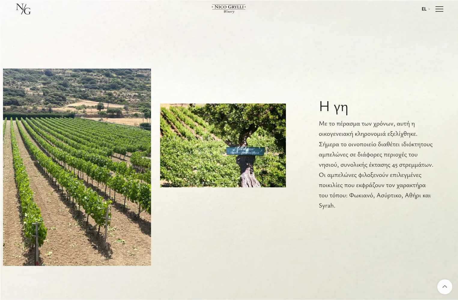 nicogrylliwinery mkt laptop 6 Κατασκευή Ιστοσελίδας Οινοποιείου,σύστημα διαχείρισης κρατήσεων,σχεδιασμός ιστοσελίδων λάρισα,ιστοσελίδα για οινοποιείο,ιστοσελίδα για κάβα Nico Grylli Winery EGNITE Digital Transformation Agency